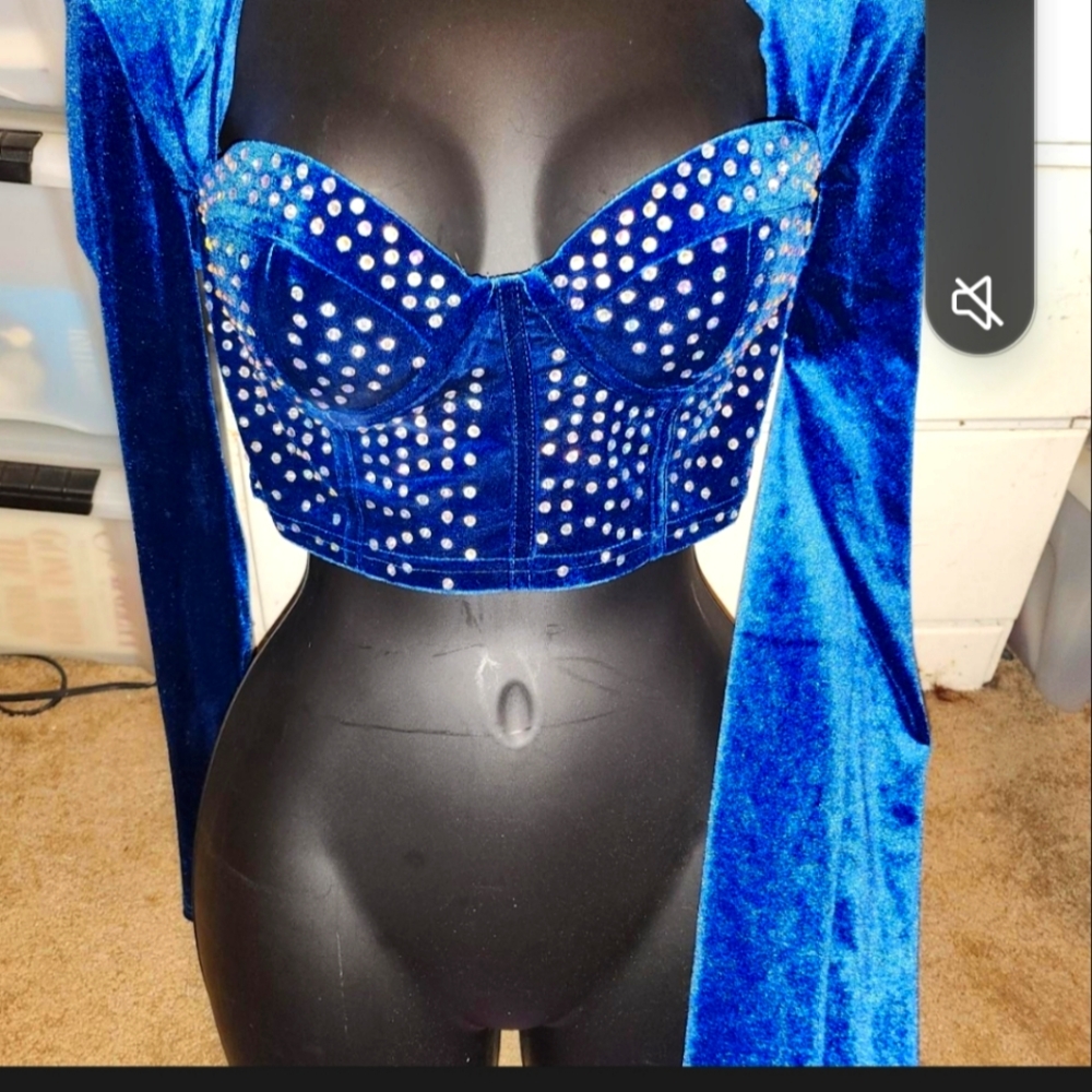 Shein small velore royal blue rhinestone long sleeve crop top